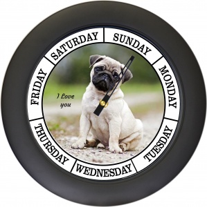 Pictorial Pug